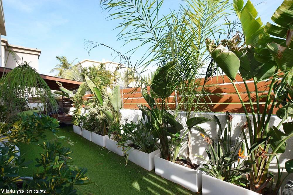 המתחם החיצוני - רוזה דרים - 4 סוויטות בקיסריה להשכרה לפי שעה 112848