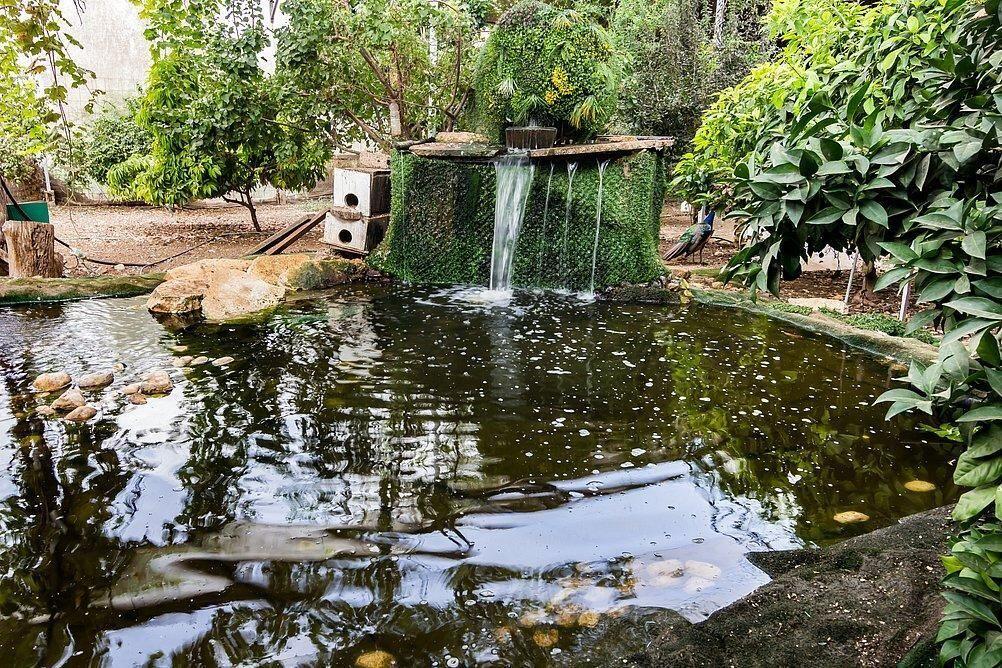 חצר ובריכה - ויליג' קומפלקס - 5 יחידות לאירוח שעתי בניר בנים 121816