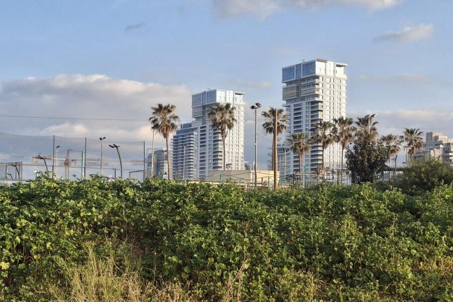 מתחם חיצוני בריכה וג'קוזי - כפר הים יחידות אירוח לפי שעה עם ג'קוזי על החוף 155435